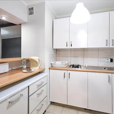 Apartment Pod Lipami Standard Studio *